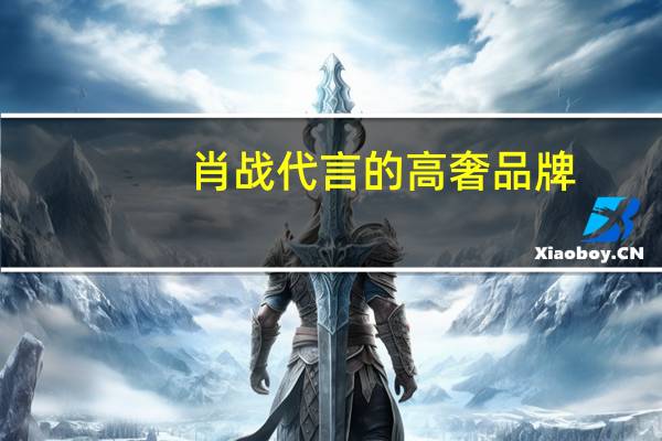 肖战代言的高奢品牌