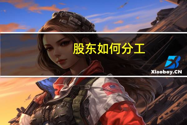股东如何分工