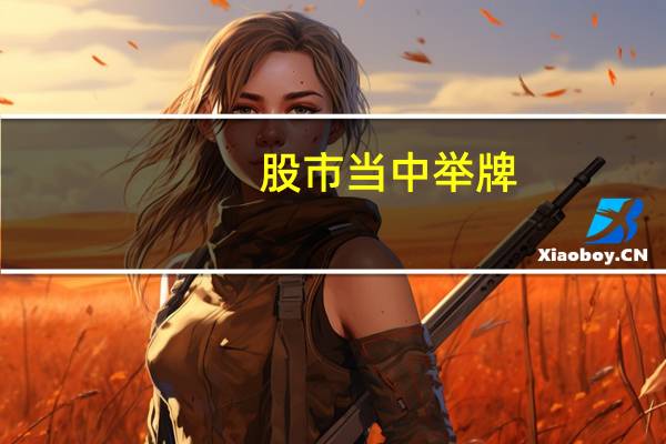 股市当中举牌,是什么意思