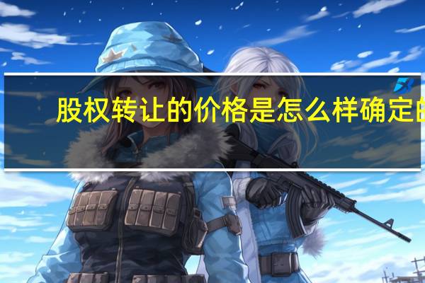 股权转让的价格是怎么样确定的