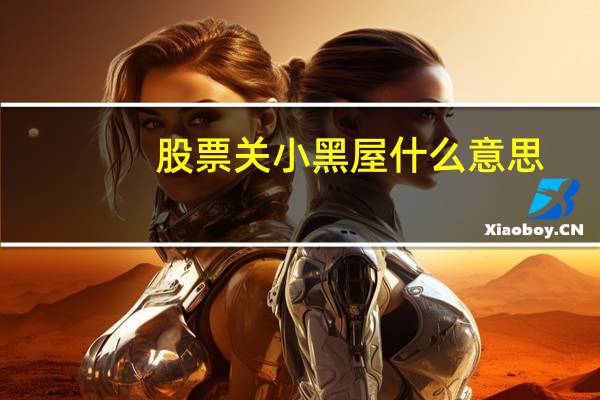 股票关小黑屋什么意思