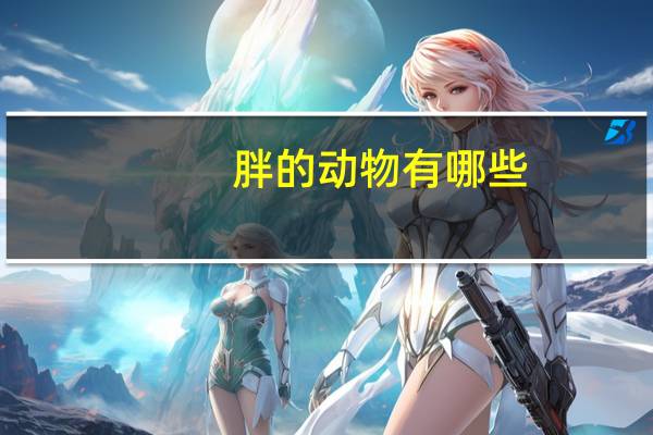 胖的动物有哪些