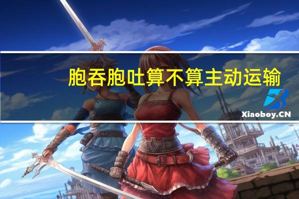 胞吞胞吐算不算主动运输