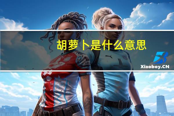 胡萝卜是什么意思