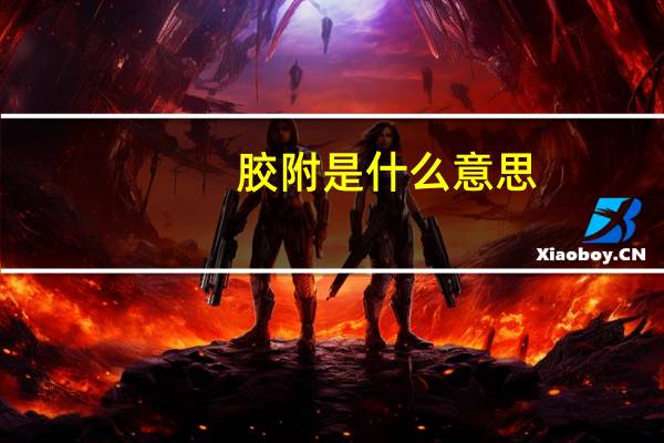 胶附是什么意思