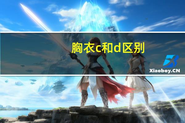 胸衣c和d区别