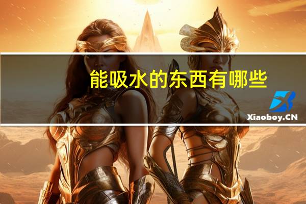 能吸水的东西有哪些