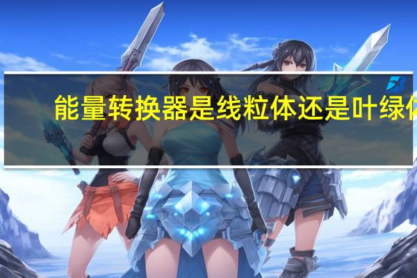 能量转换器是线粒体还是叶绿体