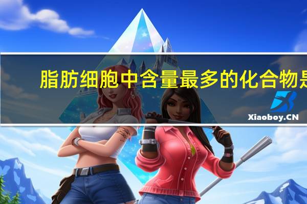 脂肪细胞中含量最多的化合物是