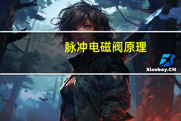 脉冲电磁阀原理