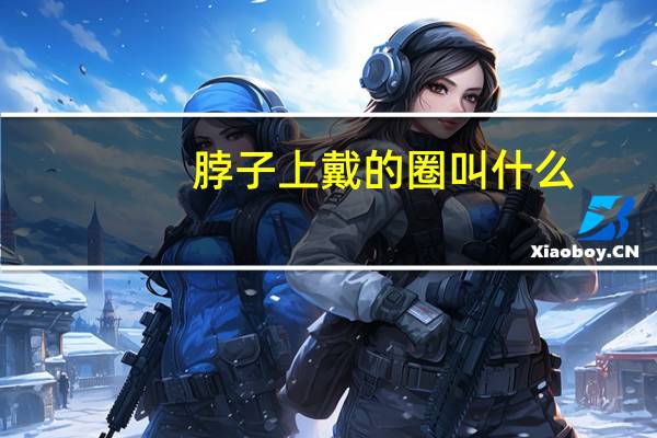 脖子上戴的圈叫什么