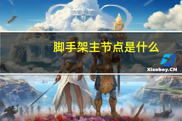 脚手架主节点是什么