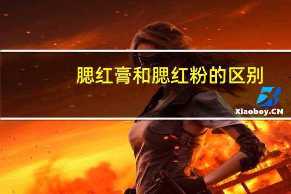 腮红膏和腮红粉的区别