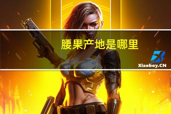 腰果产地是哪里