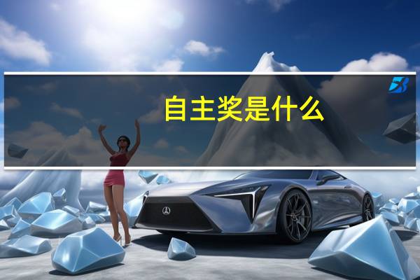 自主奖是什么