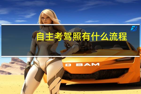 自主考驾照有什么流程