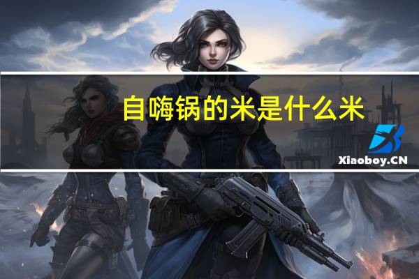 自嗨锅的米是什么米