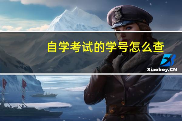 自学考试的学号怎么查