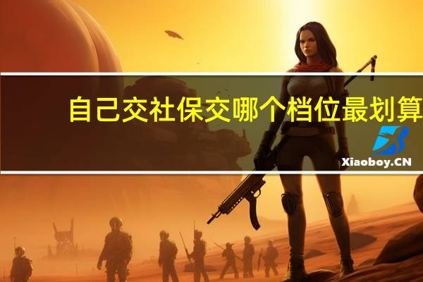 自己交社保交哪个档位最划算