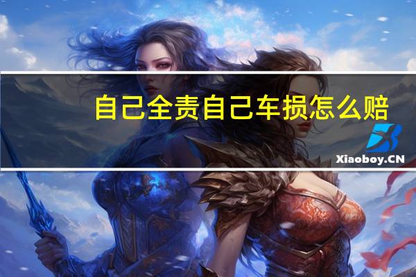 自己全责自己车损怎么赔