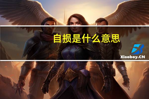 自损是什么意思