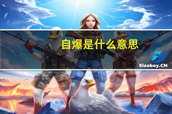 自爆是什么意思