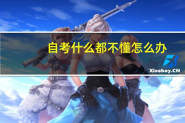 自考什么都不懂怎么办