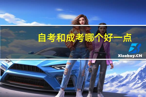 自考和成考哪个好一点