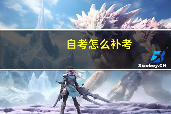 自考怎么补考