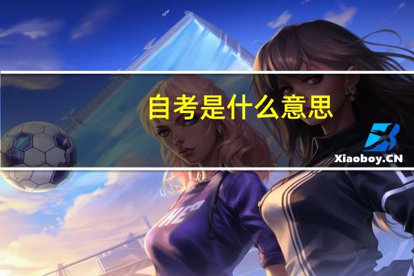自考是什么意思?