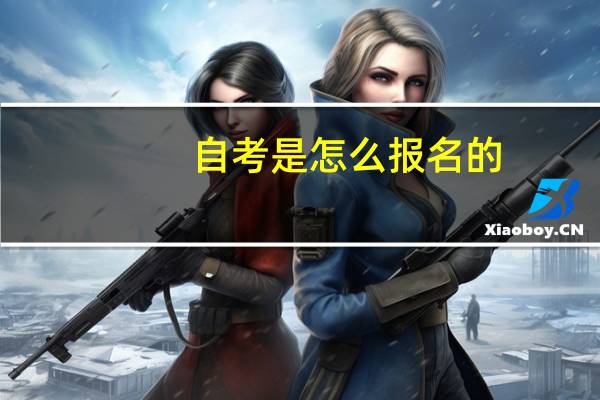 自考是怎么报名的