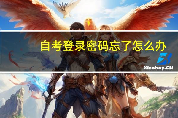 自考登录密码忘了怎么办