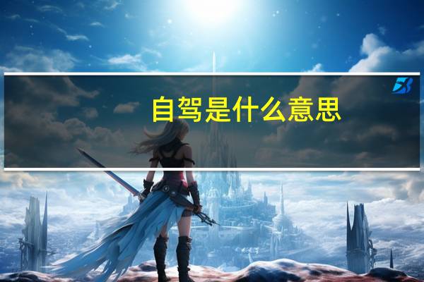自驾是什么意思
