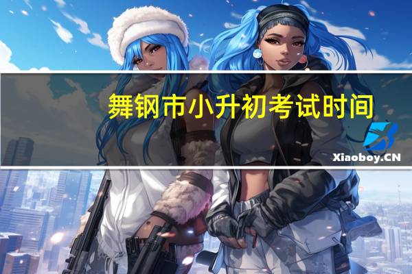 舞钢市小升初考试时间