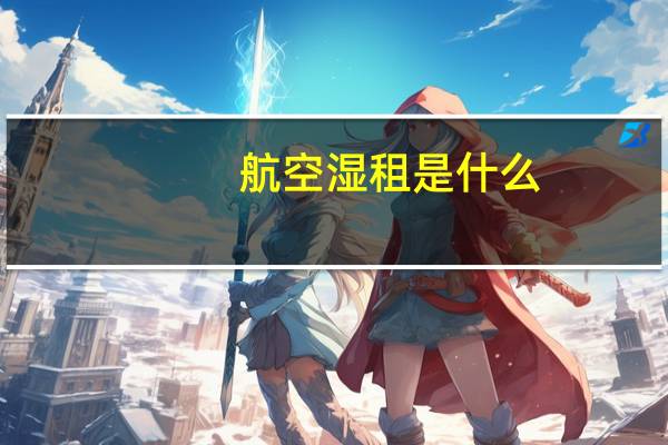 航空湿租是什么