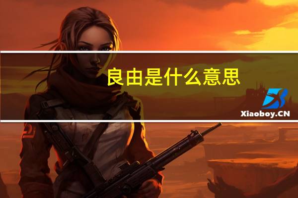 良由是什么意思
