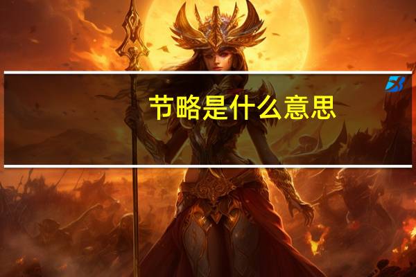 节略是什么意思