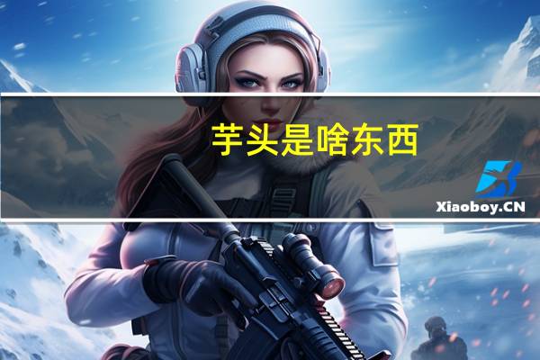 芋头是啥东西