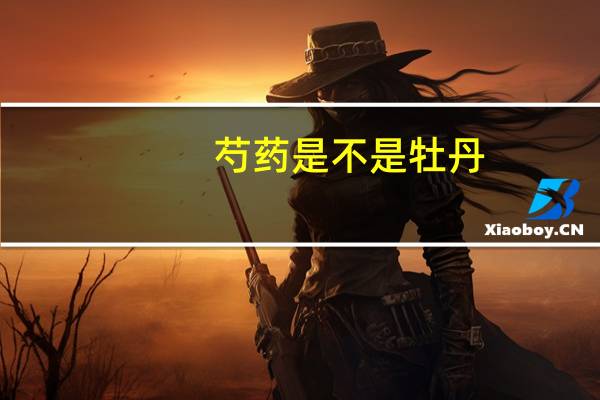 芍药是不是牡丹