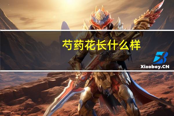 芍药花长什么样