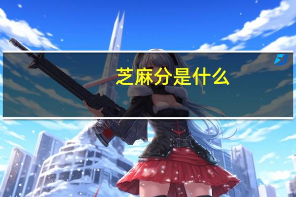 芝麻分是什么