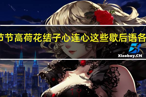 芝麻开花节节高荷花结子心连心这些歇后语各代表了什么意思