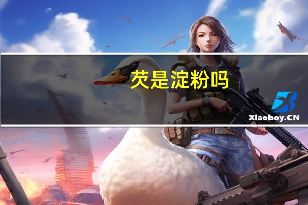 芡是淀粉吗