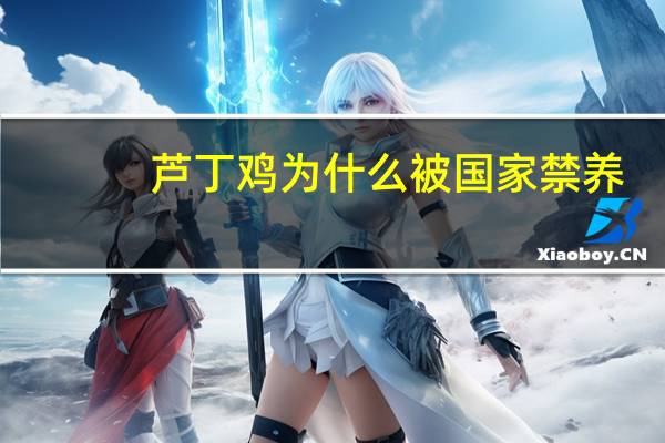 芦丁鸡为什么被国家禁养