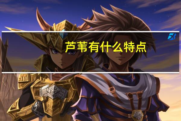 芦苇有什么特点