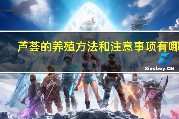 芦荟的养殖方法和注意事项有哪些