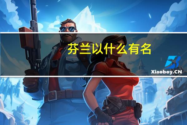 芬兰以什么有名