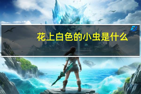 花上白色的小虫是什么