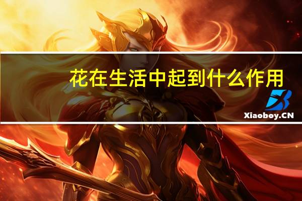 花在生活中起到什么作用