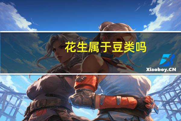 花生属于豆类吗